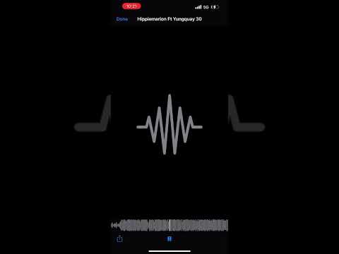 Hippymarion-Thirty On Me FT Yungquay