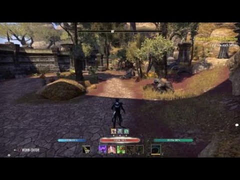 OUTDATED Stamina Warden DPS not optimal no Raid Gear / Dragon Bones