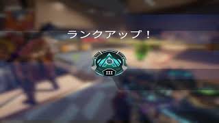 APEX　やります