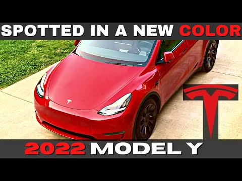 Tesla's Model Y Deliveries Expanded | A New Color Leaked