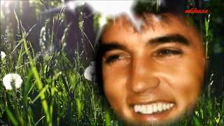 Elvis Presley &quot;She&#39;s Not You&quot; (com legendas)