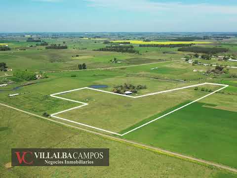 Venta de Campito 3 hectáreas 7864 metros, Paraje Pantanoso, Sauce, Canelones. 