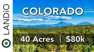 40 Acres of Colorado Land for Sale in Rocky Mountains • LANDiO