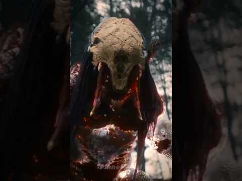 How Powerful is the Feral Predator in 'Prey'? #preymovie #feralpredator #shorts