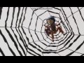 Coraline Vs Other Mother Scene