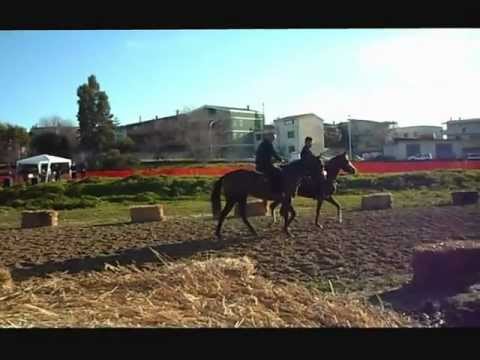 Sestu 2013 - Cavalli e maschere