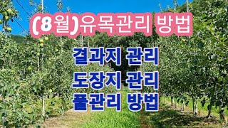 (8월)유목관리 방법(결과지관리,도장지관리,풀관리)