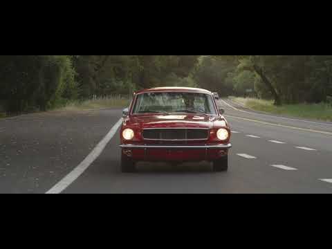 1965 Ford Mustang Fastback (CC-2099887) for sale in novato, California