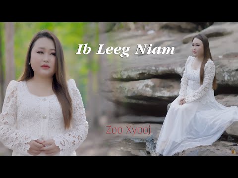 Ib Leeg Niam - Zoo Xyooj (COVER)