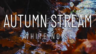 Autumn stream | Relaxing | Sleep | Meditate