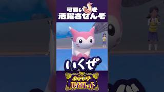 可愛いオオタチを、活躍させたい！【ポケモンSV】