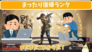 【APEX】クラフトでバッテリーを作ると後が大変【配信外】