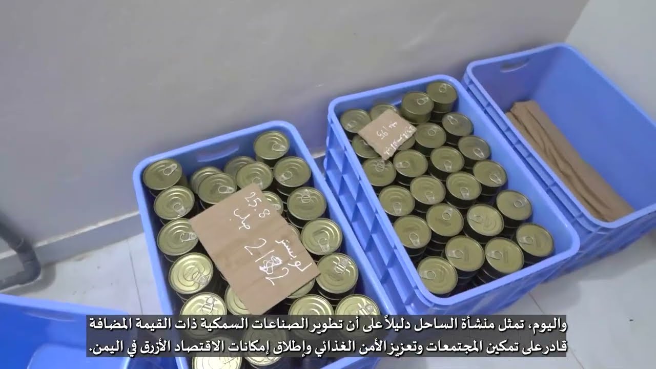 Empowering Yemen’s Blue Economy: Al-Sahel Tuna Factory Transformation