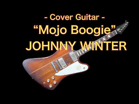 Johnny Winter Signature 1963 Firebird V Tom Murphy Aged Sunburst image 22