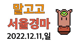 말고고 경마분석 및 추천마3 (서울경마 2022.12.11,일)