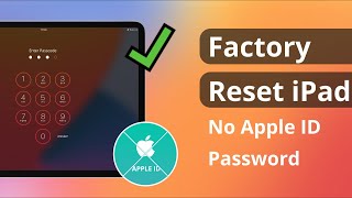 [3 Ways] How to Factory Reset iPad without Apple ID Password 2024 | iOS 15/16/17