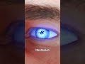 How Motion Pictures Actually Work