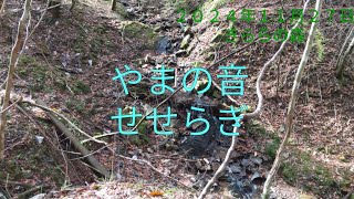 やまの音、せせらぎー２０２４年１１月
