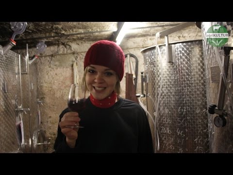 agriKULTUR: Stephanie - Es werde Wein Teil 2