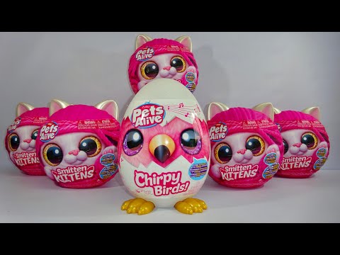 UNBOXING Zuru Pets Alive Smitten Kittens and Chirpy Birds Mystery Surprise Toys ASMR