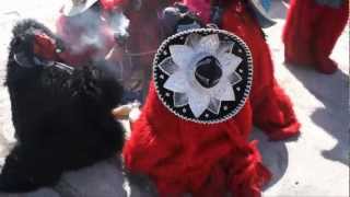 preview picture of video 'carnaval 2012 de santa ana hueytlalpan 3'