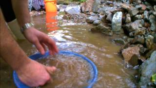 gold  Prospecting Lyell with ryan part one