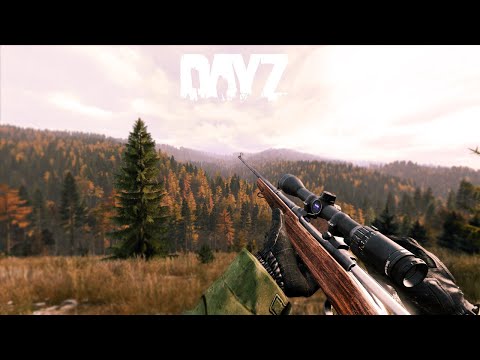 DAYZ PL | Droga na skróty zadziałała! #11 | LIVE PL