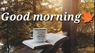 Download lagu Story wa lagu india bikin baper- Selamat pagi mp3 Download lagu Story wa lagu india bikin baper- Selamat pagi mp3