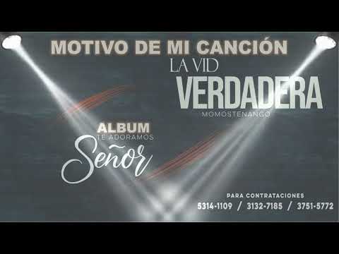 MOTIVO DE MI CANCIÓN