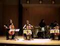 6. Apocalyptica's "Cortege" performed by Primitivity