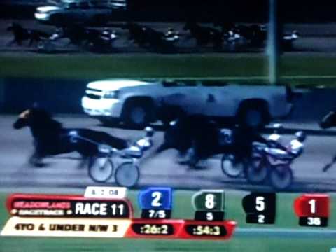 2008 Hambletonian Day - Race 11 - 4 year olds & under N/W Last 3