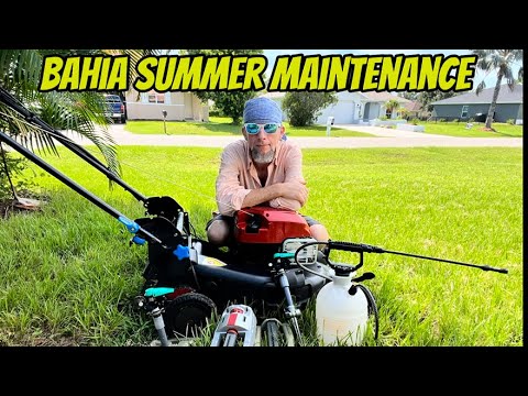Bahia Grass Summer Maintenance