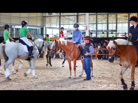 Calming a Barrel Horse That Acts Up in the Run-In