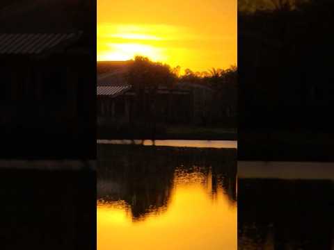 morning Sunnyside rise #shorts #nature