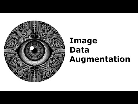 Image Data Augmentation