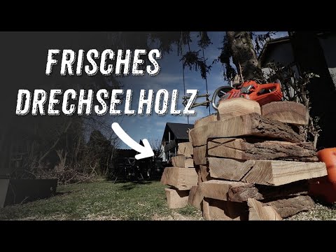 Frisches Eichenholz fürs Lager | Werkstatt Update V1.2