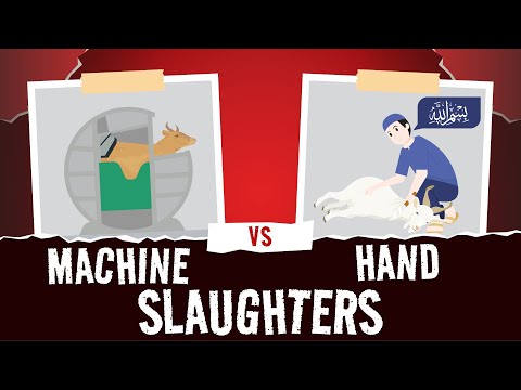 Machine vs Hand Slaughter  - Which One  is Correct? Explained in 2D Animation