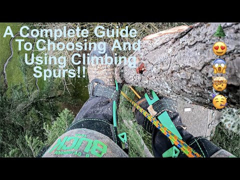 EVERYTHING You Need To Know About Tree Climbing Spurs! A Complete Guide to Choosing and Using Spurs!
