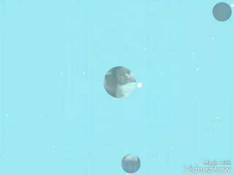 Samanvi 3rd birthday