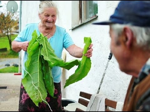 Julia Seidl, Stefan Rosenboom: »Anni und Alois – Arm sind wir nicht« (Ludwig)