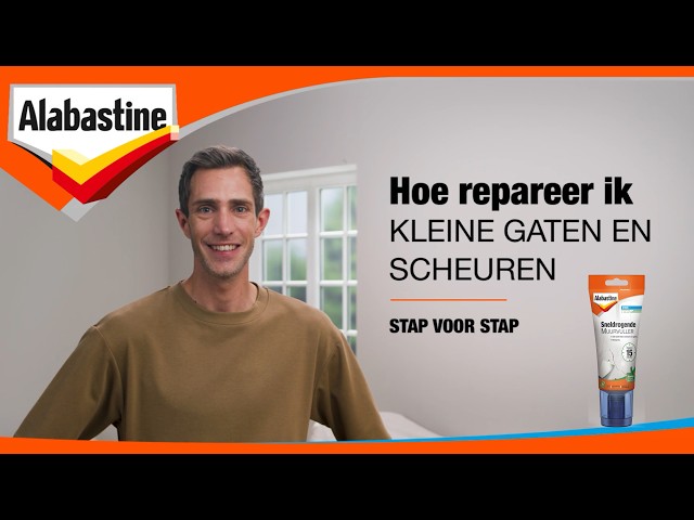 Alabastine 5095975 Enduit de rebouchage pour mur
