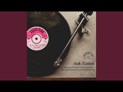 Hüseyni Kerbela Sana Sığındım