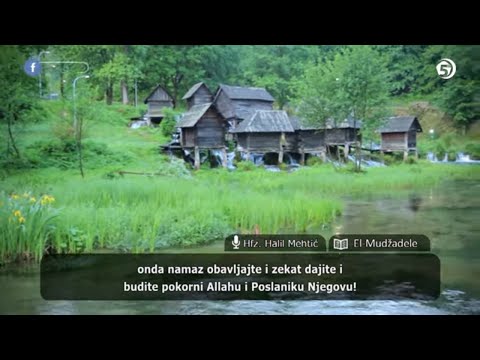 Učenje Kur'ana - hfz. dr. Halil ef. Mehtić (El-Mudžadele, El-Hašr, El-Mumtehine, Es-Saff) – 55. hizb