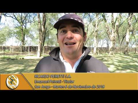 06-11-18 Nota Emanuel Peiretti - Titular - Ricardo Peiretti S.A. - San Jorge