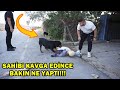 BU KÖPEKLERİN YANINDA SAHİBİNE SALDIRACAK CESARETİ OLAN VAR MI? - Rottweiler BU KÖPEKLERİN YANINDA SAHİBİNE SALDIRACAK CESARETİ OLAN VAR MI? - Rottweiler