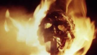 Natural Violence - Madonna of the Wasps