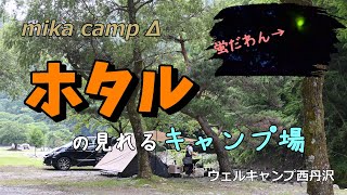 【犬キャンプ】　ホタルを見てきました！蛍の見れるキャンプ場　ウェルキャンプ西丹沢