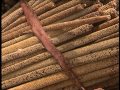 ANCAR : producteur de mil du bassin arachidier fier de sa moisson