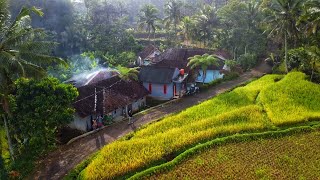 Download lagu LUAR BIASA !! Aktivitas Warga Di Kampung Terpencil, Sejuk Indah Alam Desanya, Pedesaan Jawa Barat mp3