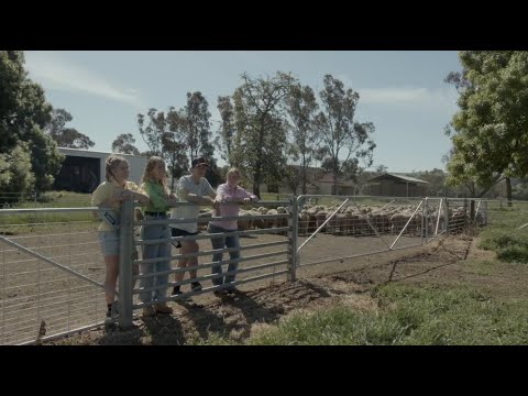 Discover the Production Animal Science major